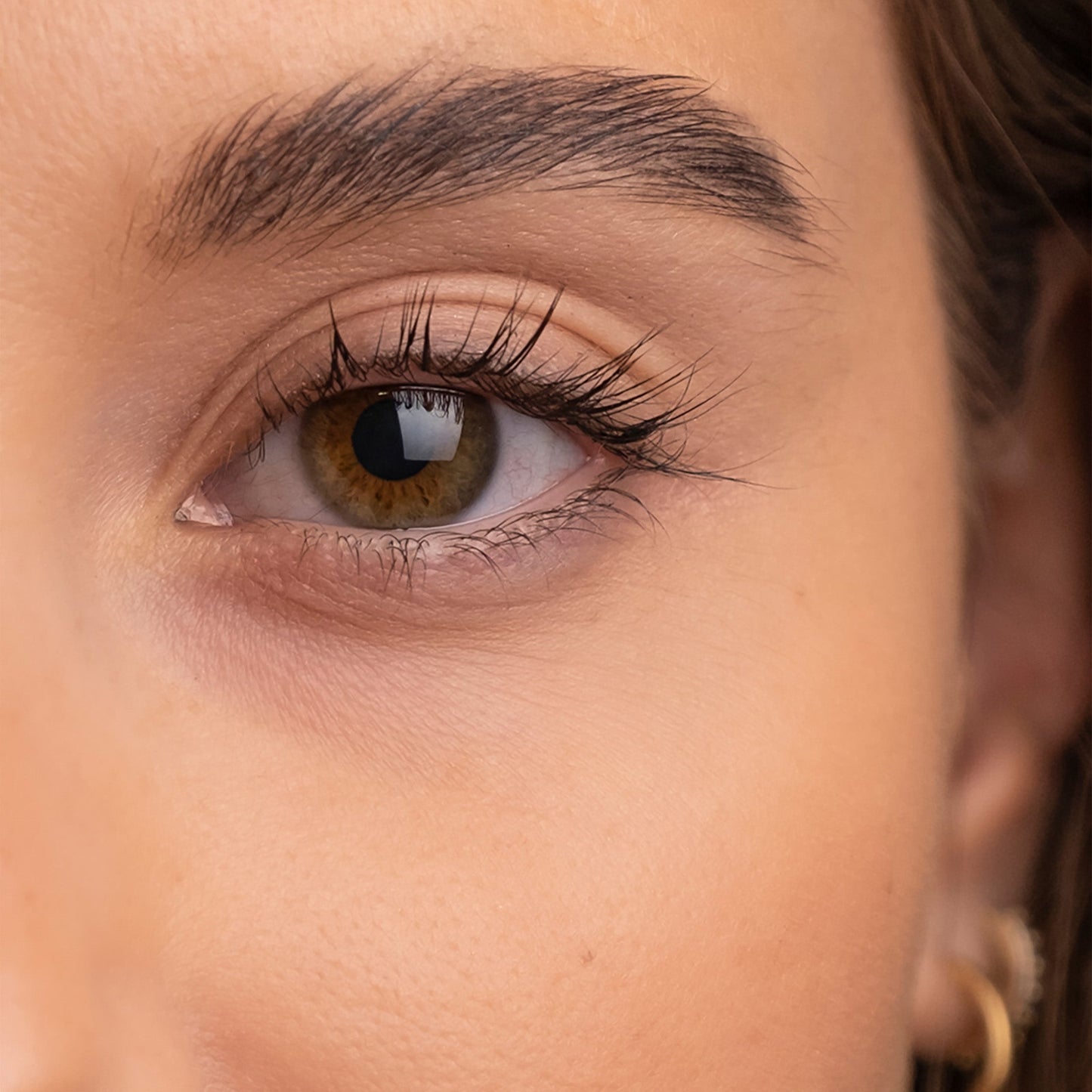 The Brow Serum