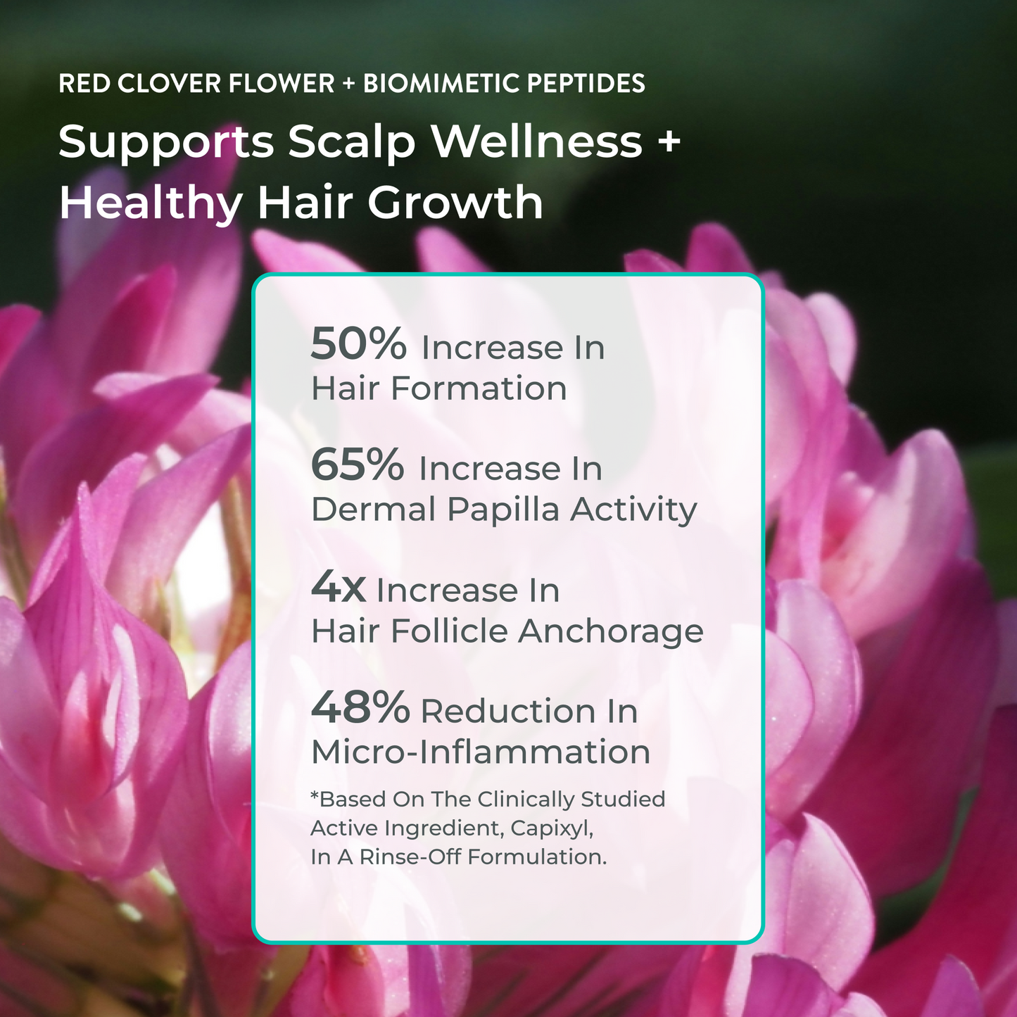 Better Roots Growth Support Styling Foam