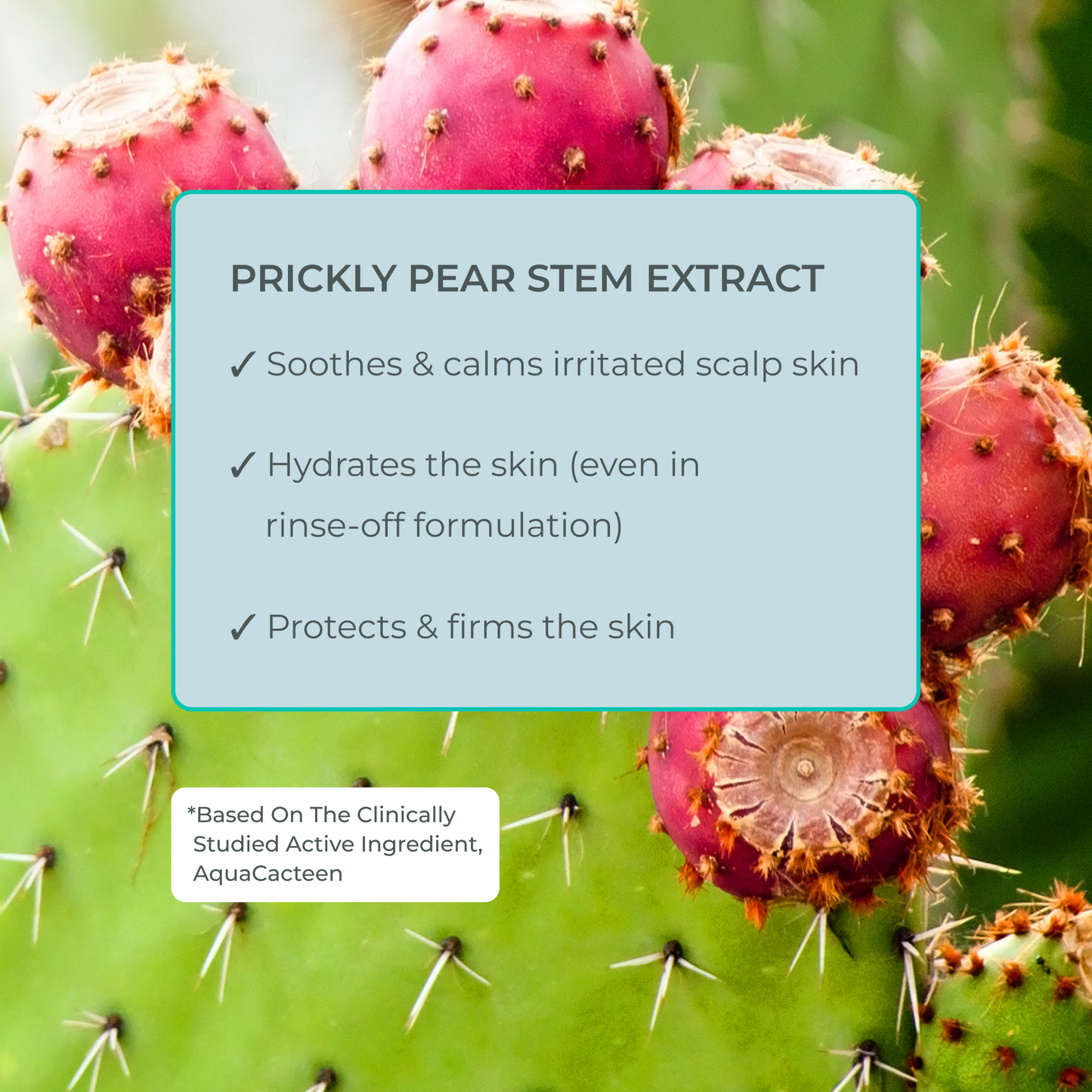 Better Roots Growth Support Shampoo