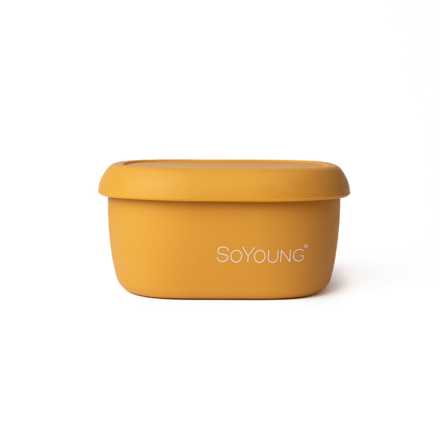 Mustard Snack Box - Medium