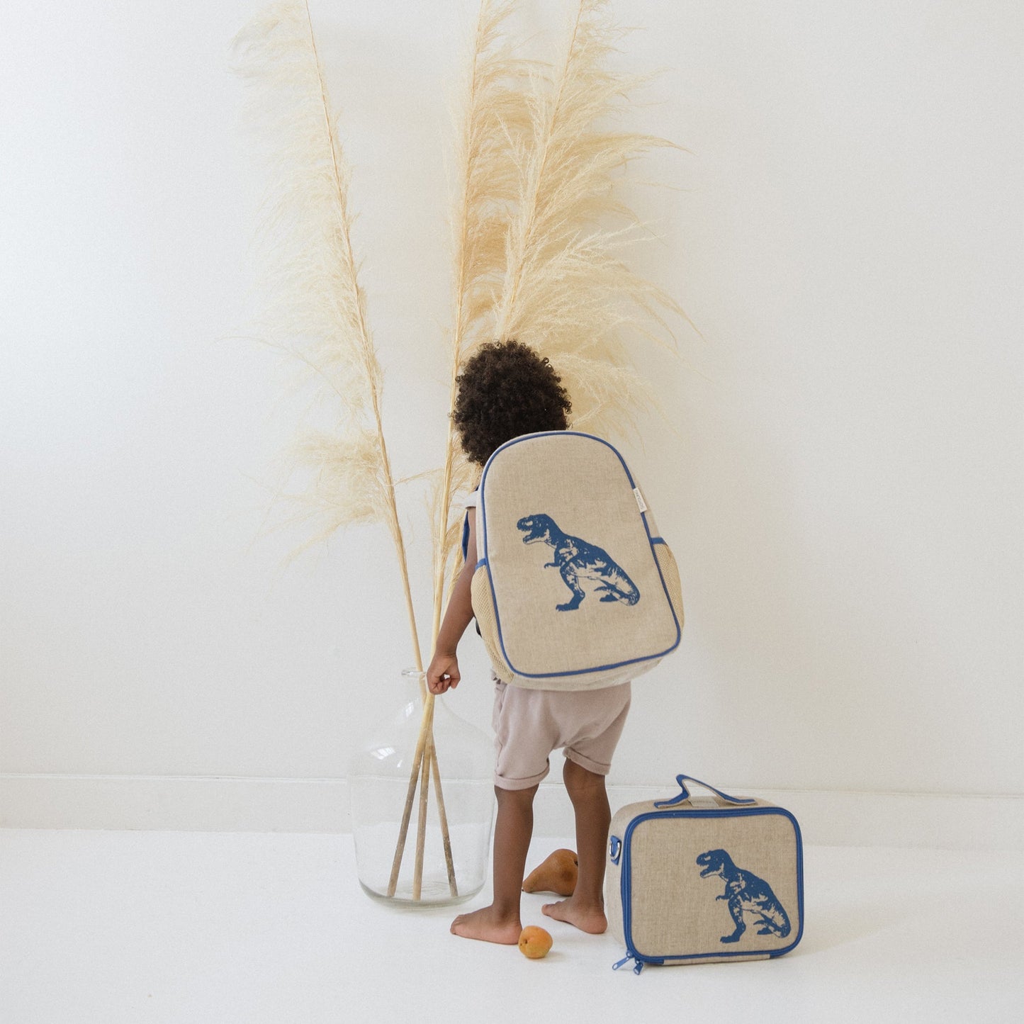 Blue Dino Toddler Bundle - 4pc