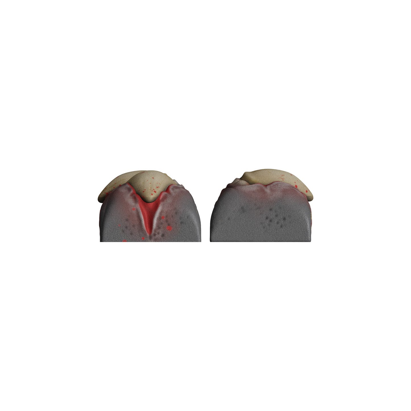 HX3D Movement Set - Werewolf