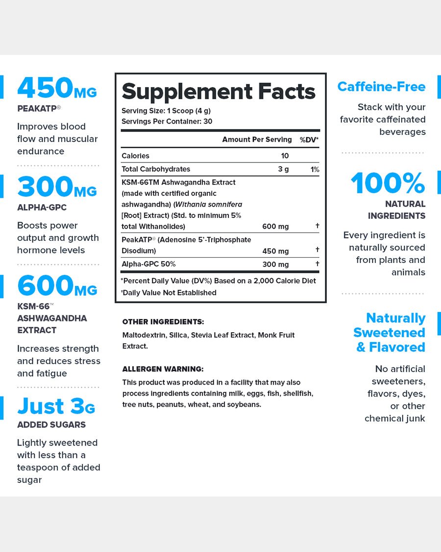 Legion Performance Surge Workout Supplement
