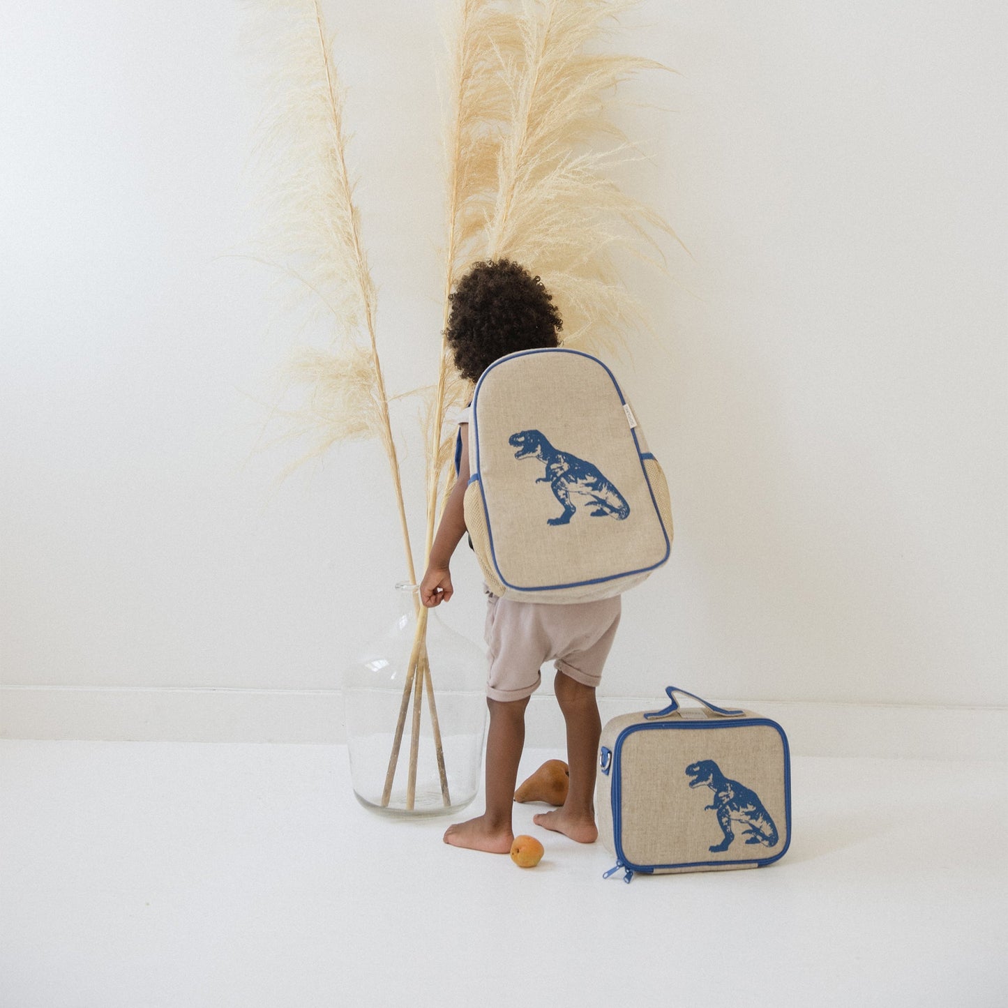 Blue Dino Toddler Bundle - 3pc