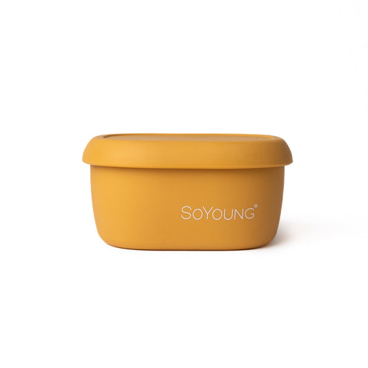 Mustard Snack Box - Medium
